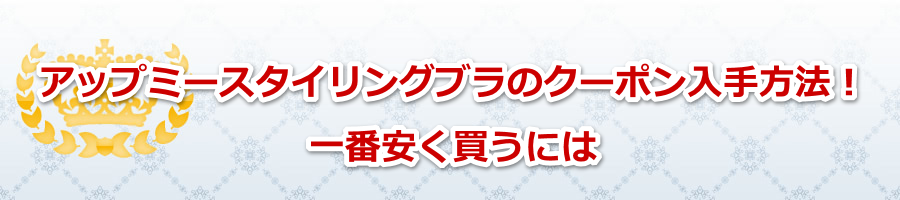 �A�b�v�~�[�X�^�C�����O�u���̃N�[�|��������@�I��Ԉ��������ɂ�